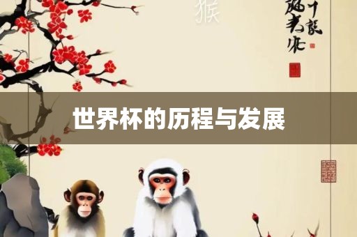 世界杯的历程与发展