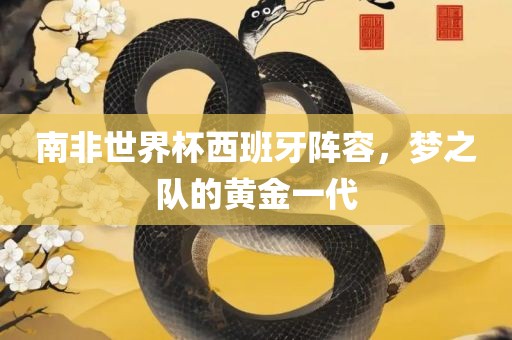 南非世界杯西眉山市正发家政服务有限公司班牙阵容，梦之队的黄金一代
