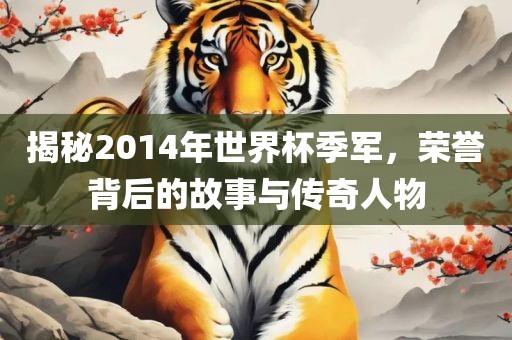 揭秘2014年世界杯季军，荣誉背后的故事与传奇人物