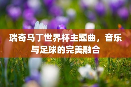 瑞奇马丁世界眉山市正发家政服务有限公司杯主题曲，音乐与足球的完美融合