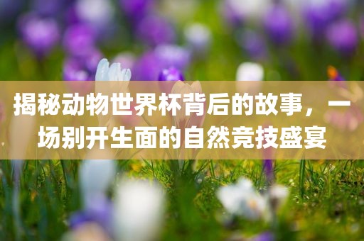 揭秘动物世界杯背后眉山市正发家政服务有限公司的故事，一场别开生面的自然竞技盛宴