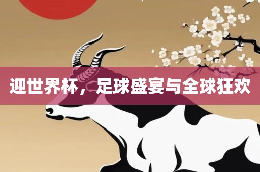 迎世界杯，足球盛宴与全球狂欢眉山市正发家政服务有限公司