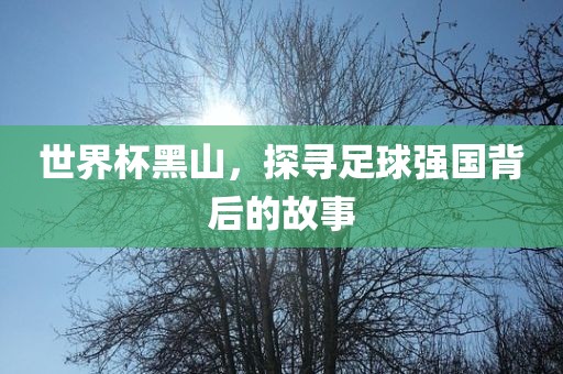 世界杯黑山，探寻足球强国眉山市正发家政服务有限公司背后的故事