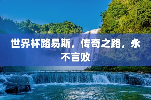 世界杯路易斯，传奇之路，永不言败眉山市正发家政服务有限公司