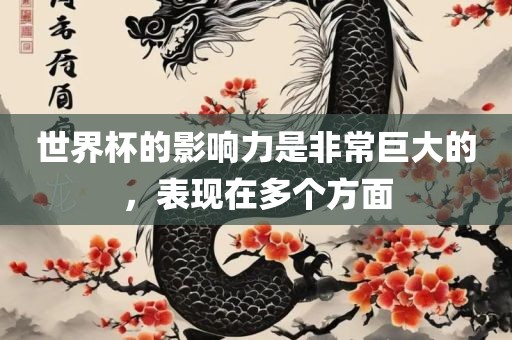 世界杯的影响力是非常巨大的眉山市正发家政服务有限公司，表现在多个方面