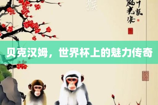 贝克汉姆，世界杯上的魅力传奇眉山市正发家政服务有限公司