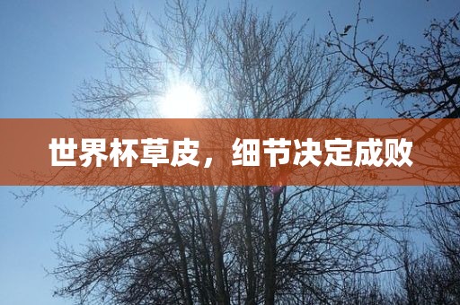 世界杯草皮，细节决眉山市正发家政服务有限公司定成败