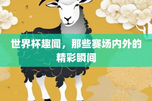 世界杯趣闻，那些赛场内外的精彩瞬间