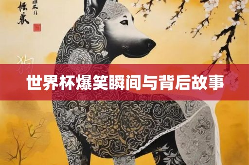 世界杯爆笑瞬间与背后故事眉山市正发家政服务有限公司
