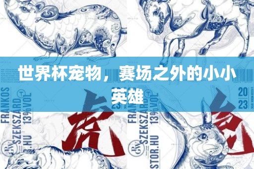 世界杯宠物，赛场之外的小小英雄眉山市正发家政服务有限公司