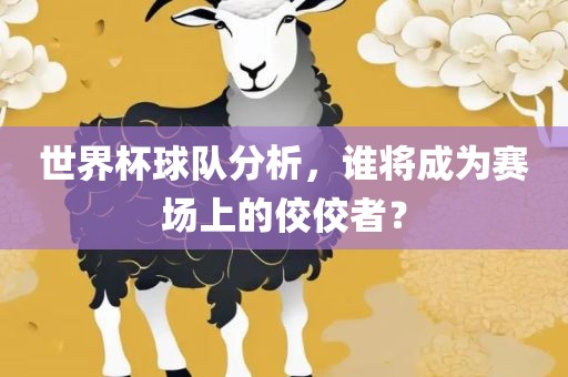 世界杯球队分析，谁将成为赛场上的佼佼者？