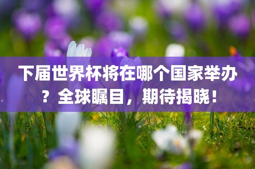 下届世界杯将在哪个国家举办？全球瞩目，期待揭晓！