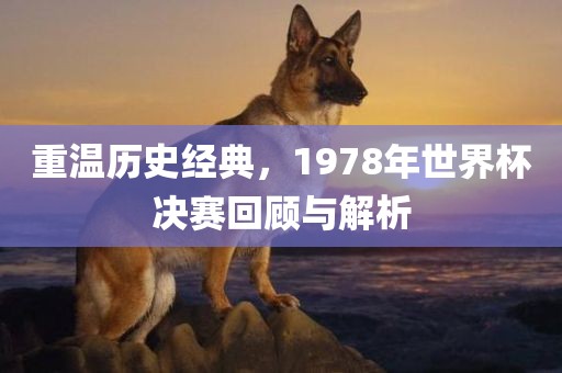 重温历史经典，1978年世界杯决赛回顾与解析眉山市正发家政服务有限公司