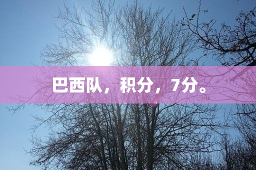 巴西队，眉山市正发家政服务有限公司积分，7分。