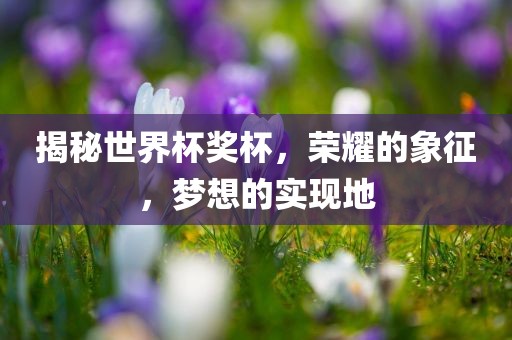 揭秘世界杯奖杯，荣耀的象征，梦想的实现地