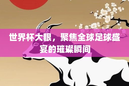 世界杯大眼，聚焦全球足球盛宴的璀璨瞬间眉山市正发家政服务有限公司