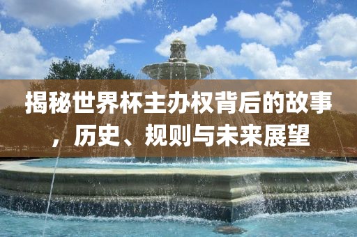 揭秘世界杯主办权背后的故事，历史、规则与未来展望眉山市正发家政服务有限公司