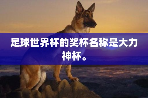 大力神杯