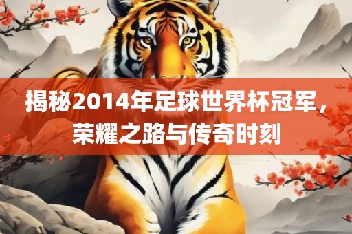 揭秘2014年足球世界杯冠军，荣耀之路与传眉山市正发家政服务有限公司奇时刻