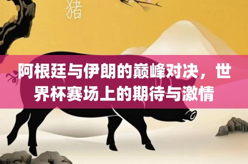 阿根廷与伊朗的巅峰对决，世界杯赛场上的期待与激情眉山市正发家政服务有限公司