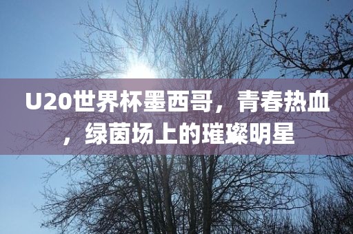U20世界杯墨西哥，青春热血，绿茵场上的璀璨明星眉山市正发家政服务有限公司