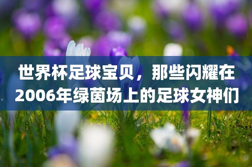 世界杯足球宝贝，那些闪耀在2006年绿茵场眉山市正发家政服务有限公司上的足球女神们