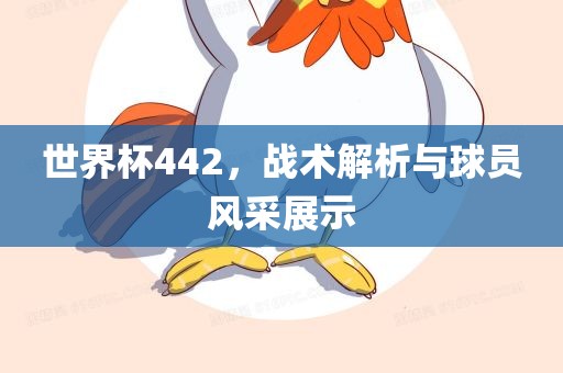 眉山市正发家政服务有限公司世界杯442，战术解析与球员风采展示