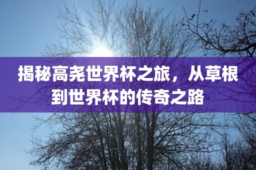 揭秘高尧世界杯之旅，从草根到世界杯的传奇之路