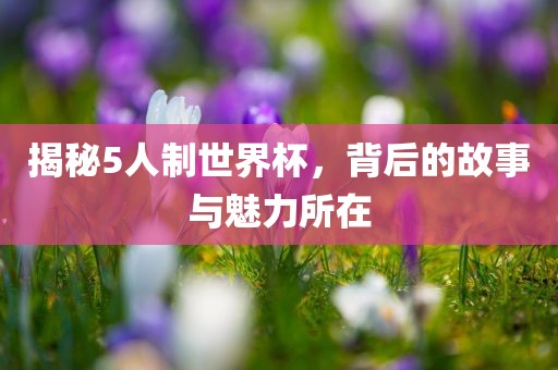 揭秘5人制世界杯，背后的故事与魅力所在眉山市正发家政服务有限公司