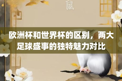 欧洲杯和世界杯的区别，两大足球盛事的独特魅力对比
