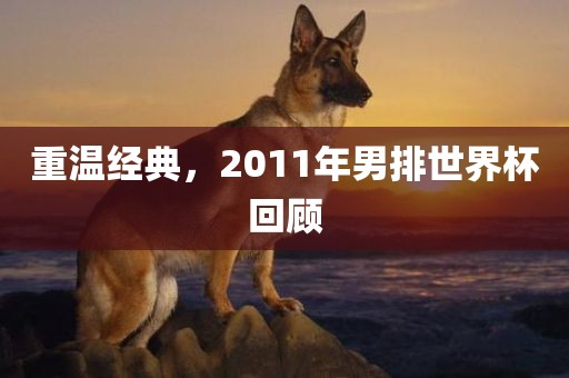 重温经典，2011年男排世界杯回顾眉山市正发家政服务有限公司