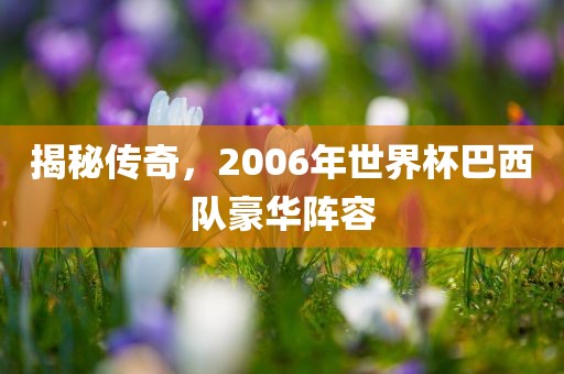 揭秘传奇，2006年世界杯巴西队豪华阵容