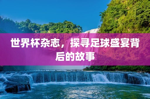 世界杯杂志，探寻足球盛宴背后的故事眉山市正发家政服务有限公司