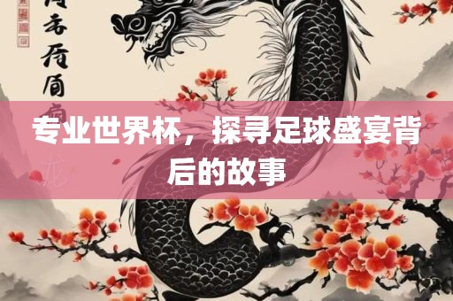 专业世界杯，探寻足球盛宴背后的故事眉山市正发家政服务有限公司