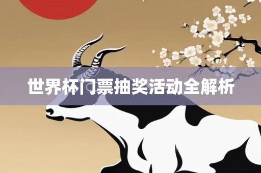 世界杯门票抽奖活动全解析