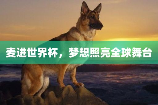 麦进世界杯，梦想照亮全球舞台眉山市正发家政服务有限公司