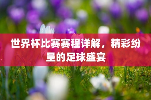 世界杯比赛赛程详解，精彩纷呈的足球盛宴眉山市正发家政服务有限公司