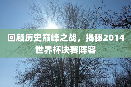 回顾历史巅峰之战，揭秘2014世界杯决赛阵容眉山市正发家政服务有限公司