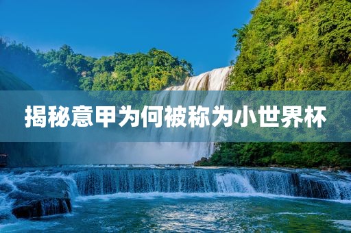 小世界杯