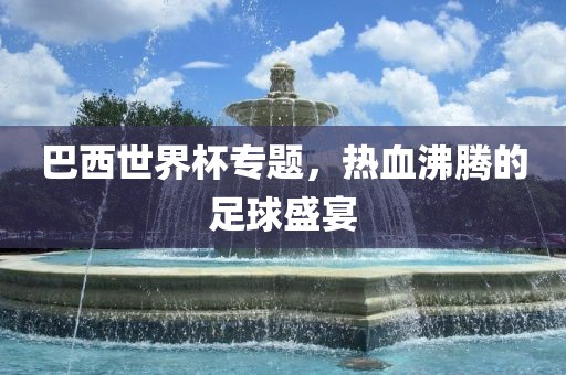 巴西世界杯专题，热血沸腾的足球盛宴眉山市正发家政服务有限公司