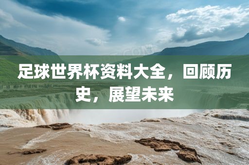 历史与未来展望 第3页