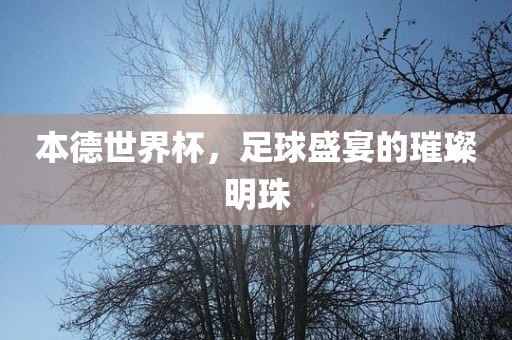 本德世界杯，足球盛宴的璀璨明珠眉山市正发家政服务有限公司
