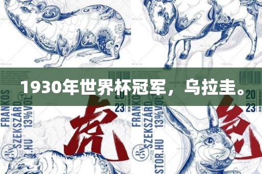 1930年世界杯冠军，乌拉圭。