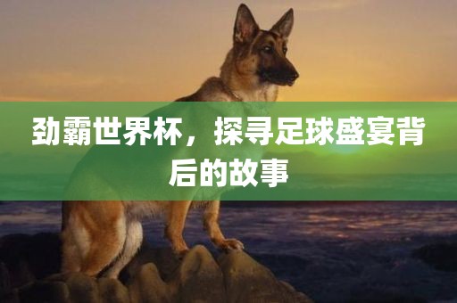 劲霸世界杯，探寻足球盛宴背后的故事眉山市正发家政服务有限公司