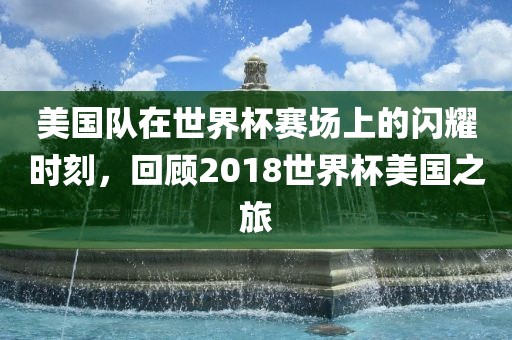 美国队在世界眉山市正发家政服务有限公司杯赛场上的闪耀时刻，回顾2018世界杯美国之旅