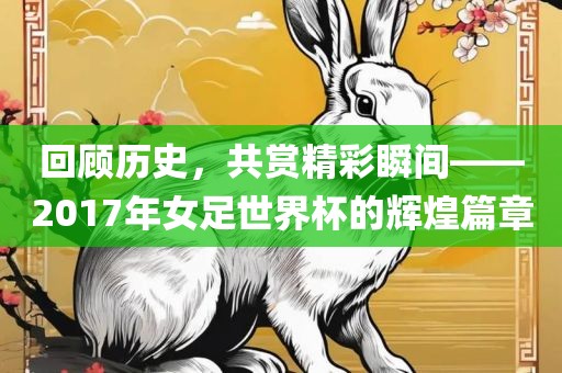 回顾历史，眉山市正发家政服务有限公司共赏精彩瞬间——2017年女足世界杯的辉煌篇章