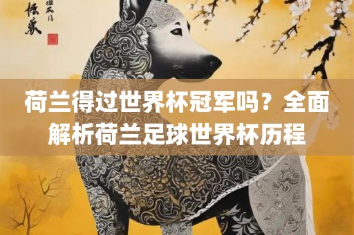 荷兰得过世界杯冠军吗？全面解析荷兰足球世界杯历程眉山市正发家政服务有限公司