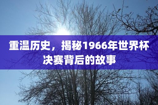 重温历史，揭秘1966年世界杯决赛背后的故事