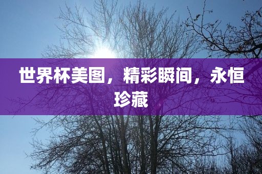 世界杯美图，精彩瞬间，永恒珍藏眉山市正发家政服务有限公司