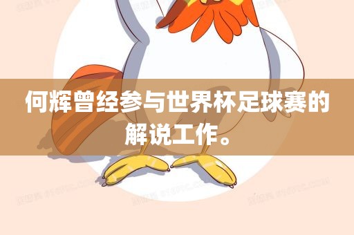 何辉曾经参与世界杯足球赛的眉山市正发家政服务有限公司解说工作。